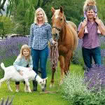 Westmere lavender farm