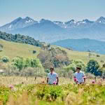 peony growers New Zealand