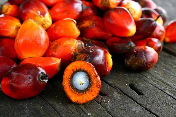 palm oil in soap making