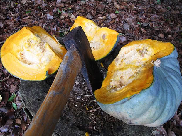 the best way to cut into a pumpkin