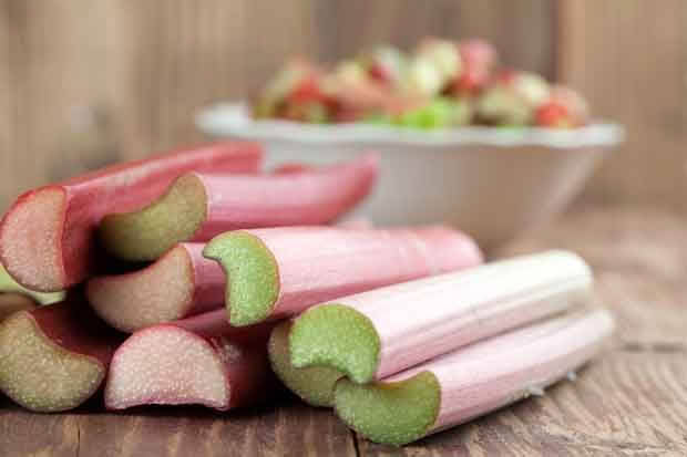 rhubarb