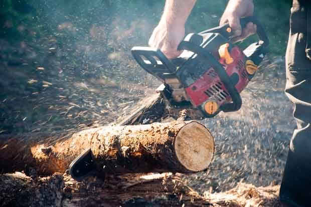 chainsaw safety