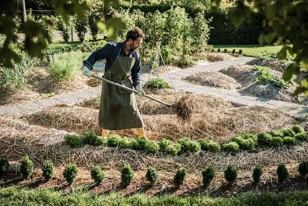 permaculture garden