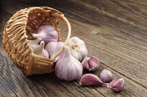 garlic in basket