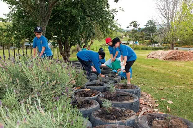 Lavender in tyres