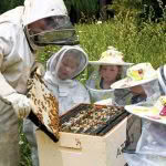 Hukerenui School child beekeeper