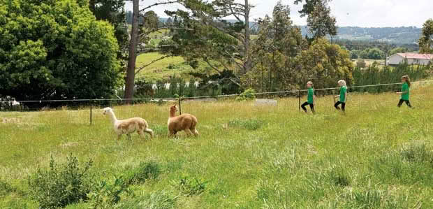 Hukerenui School