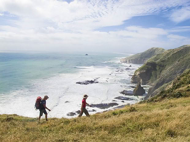 Te Henga Walkway