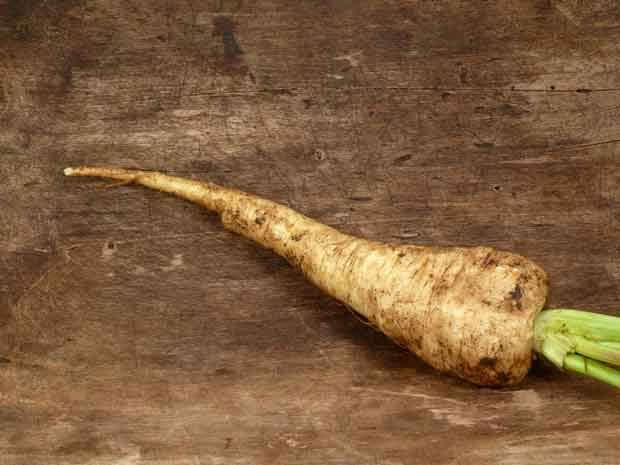 parsnip 