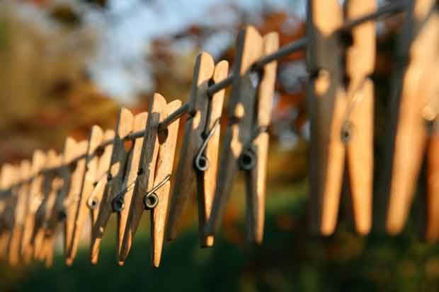  wooden pegs