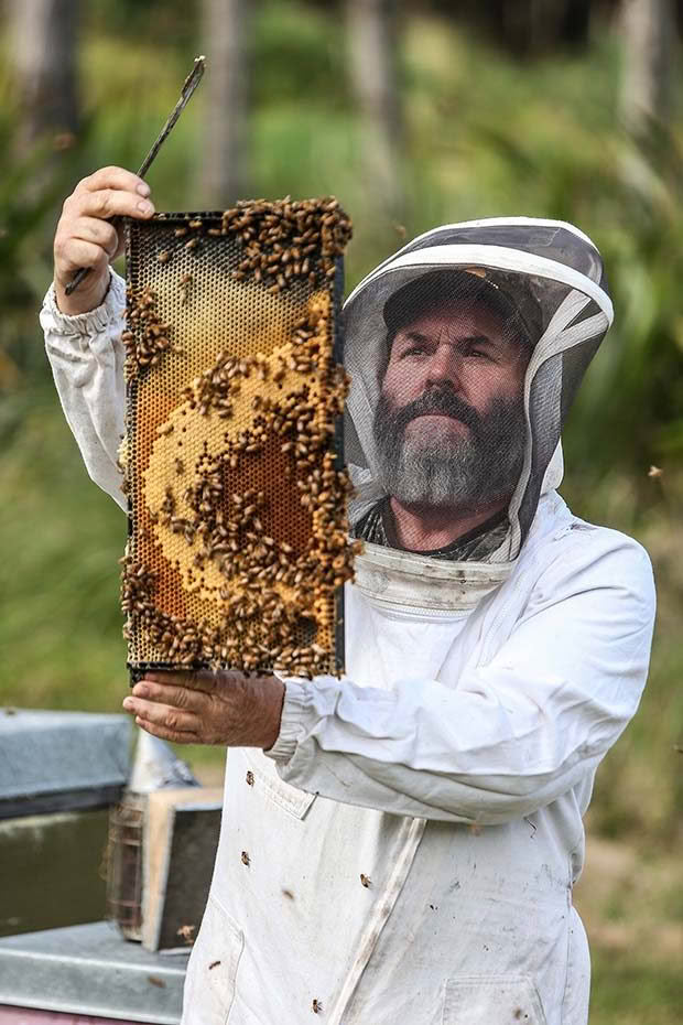 08102015 Feature: Chris Skelton / Fairfax Media Organic Bee keepers, Terry Shaw-Toomey and Karlene from honey company Earthbound Honey Ltd. For NZ Life and Leisure feature.