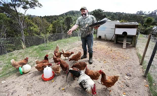 Terry Shaw-Toomey with the family chickens. 