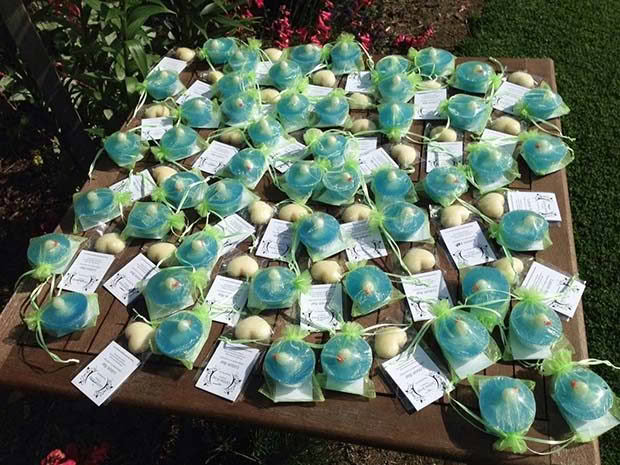 FeatureSoapGlow in the dark soaps sent to starship hospital as a gift for the kids at Starship Xmas.