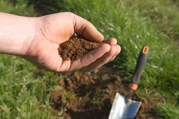 soil test