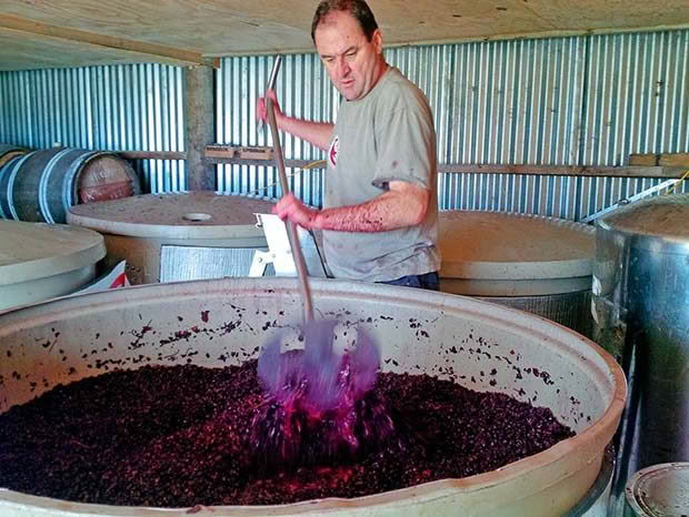 Feature - Organic vineyardPlunging Pinot Noir 2014