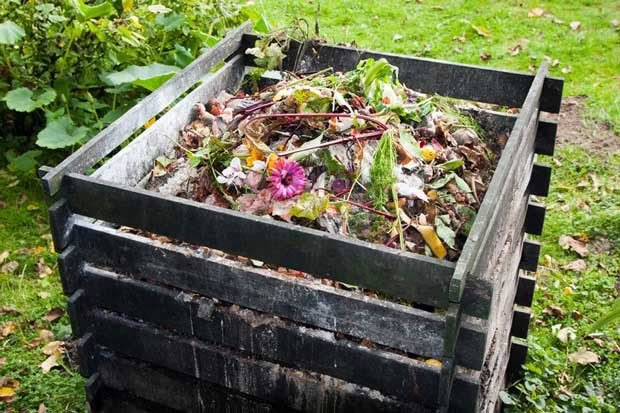 Composting is a great solution for managing waste, but are we also throwing out valuable food?