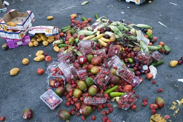 Food waste.