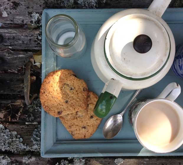 Chocolate and cranberry oat biscuits