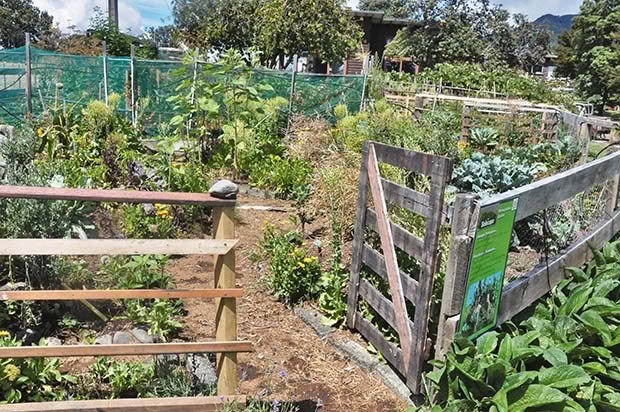 The gardens are based on permaculture principles, with signs explaining the basics to visitors.