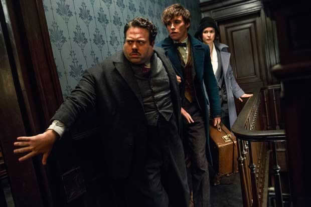 The cast of Fantastic Beasts