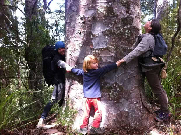  Friends Bernard, Toyah and Dylan hugging a kauri.