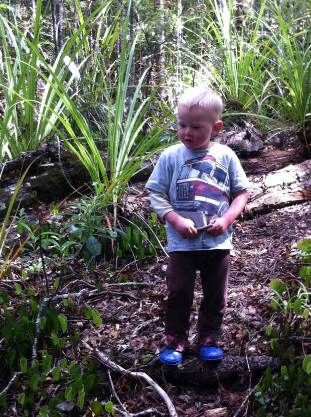 Zen on the forest floor.