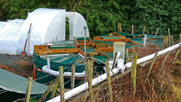 feature-coll-bell-digesters_tunnels