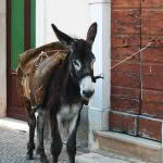 A parked traditional transport vehicle in Raiano.