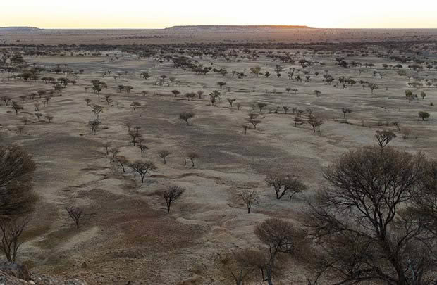 How to live in the Australian outback