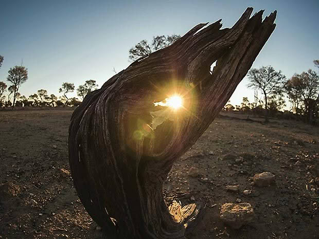 How to live in the Australian outback