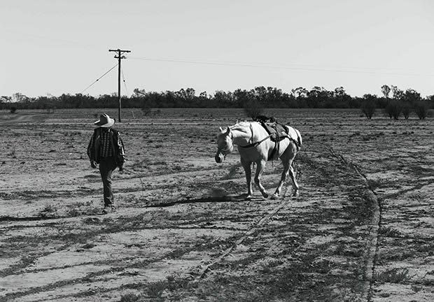 How to live in the Australian outback