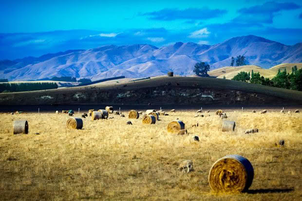 Make hay while the sun is shining.