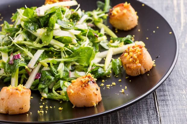 seared scallops and microgreens.