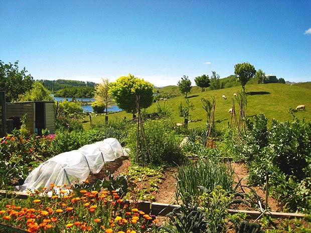 farming in New Zealand