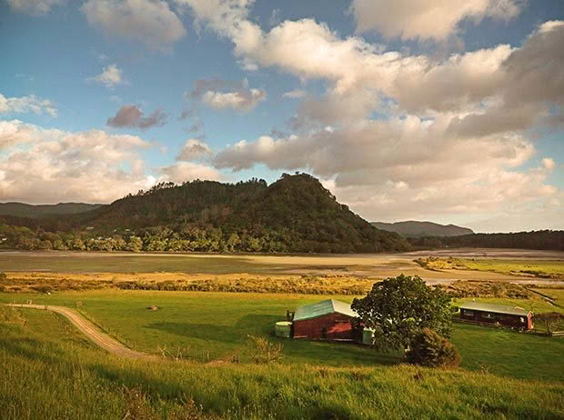 chris parry coromandel home