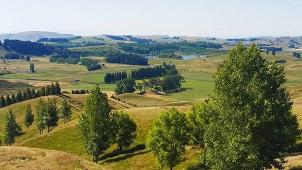 farming in New Zealand