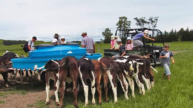 farming in New Zealand