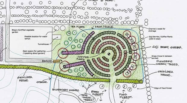 Carl's planting plan showing the berry plantings.