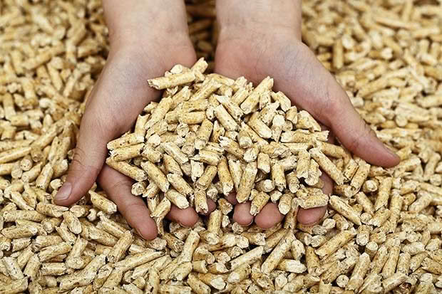 wood pellets