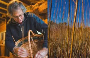 willow maker golden bay