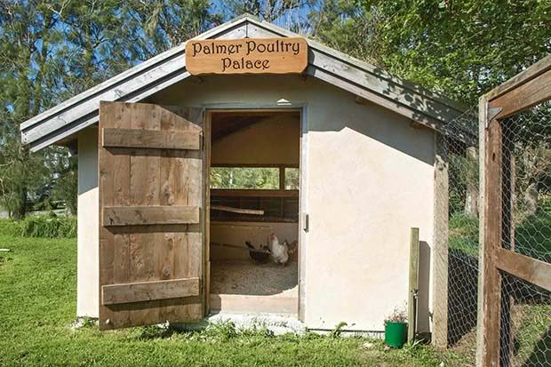 chicken coup