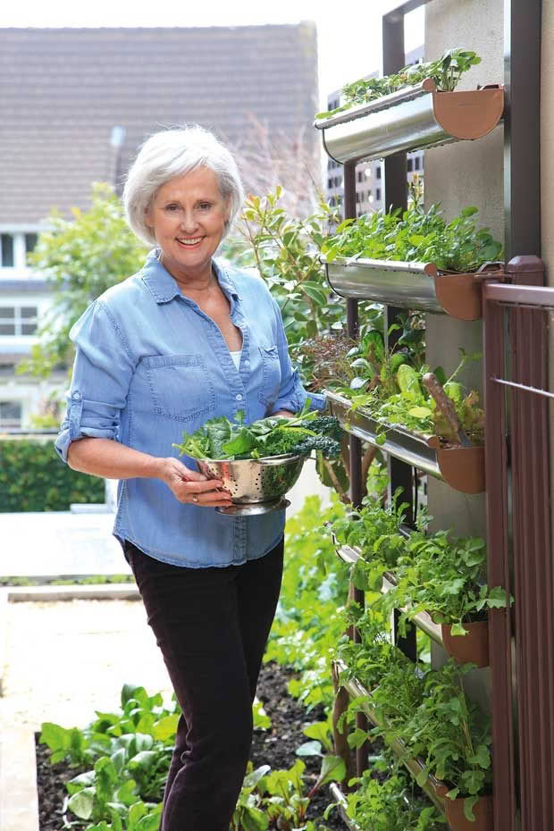 small courtyard garden with vertical garden