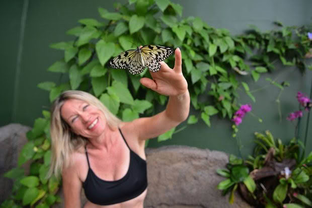 Lisa Scott yoga with butterflies