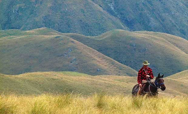 otago cavalcade