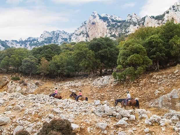 crete horseback