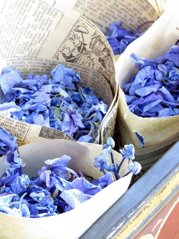 wedding hydrangea flower petals