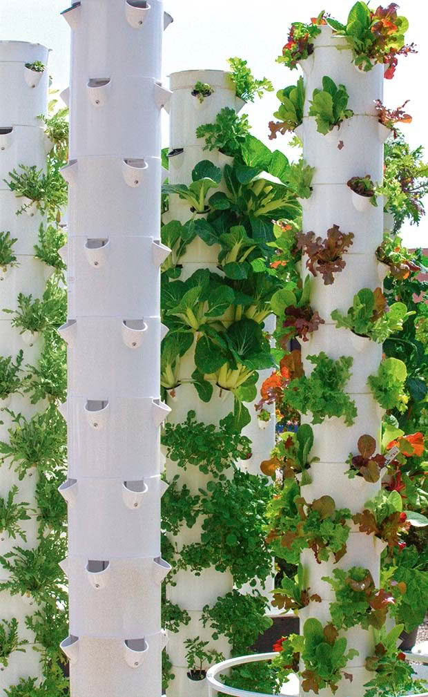 aeroponics