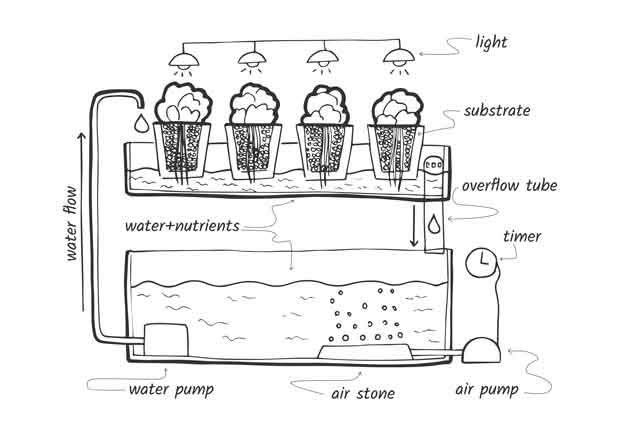 hydroponic illustration ebb and flow