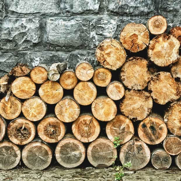 how to check if your firewood is dry enough wood