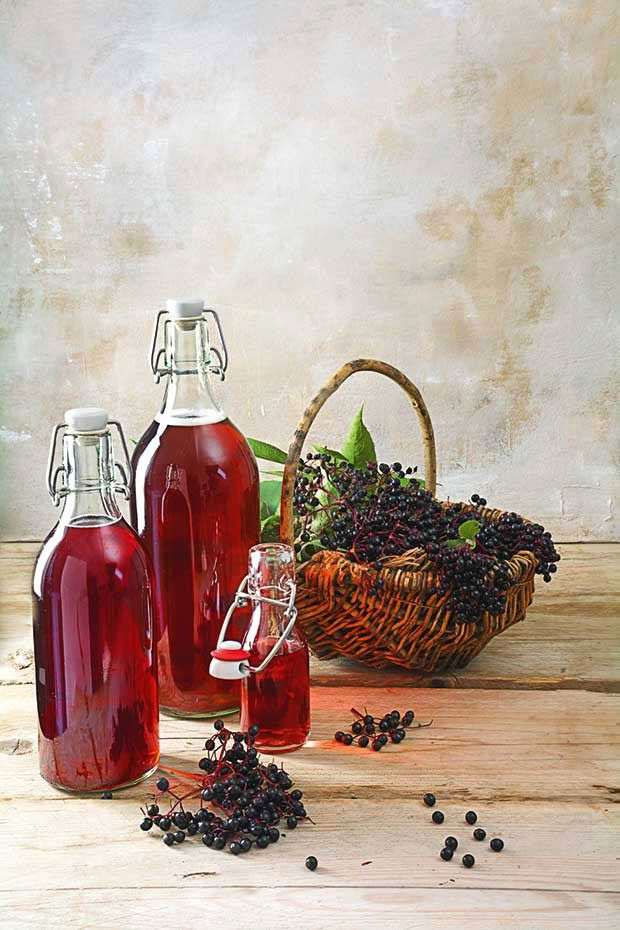 elderberry cordial